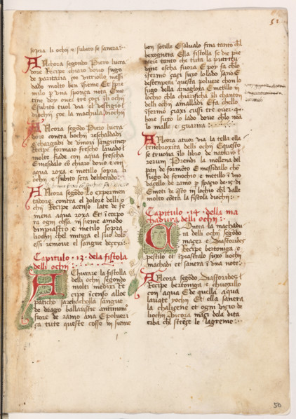 Erbario di Trento (Manoscritto n° 1591), XVI secolo, carta 50 recto.

[ENG]
Herbarium of Trento