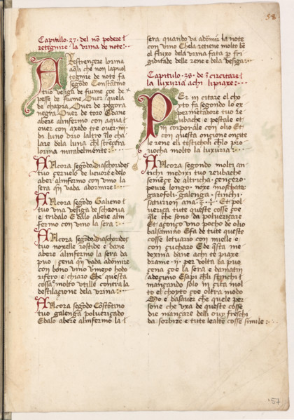 Erbario di Trento (Manoscritto n° 1591), XVI secolo, carta 57 recto.

[ENG]
Herbarium of Trento