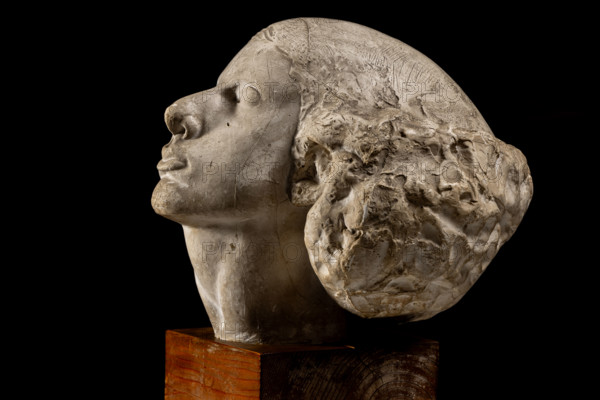 Collezione Assicoop Unipol, inv. n° 878: 
Roberto Melli (1885-1958); “Ritratto di giovinetta”;