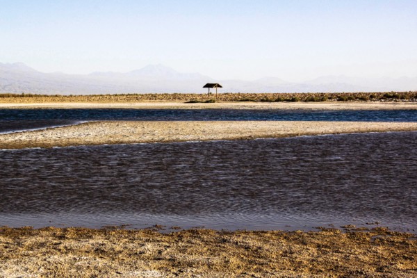 Salar d'Atacama, Chili