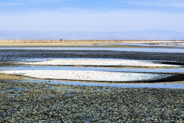 Salar d'Atacama, Chili