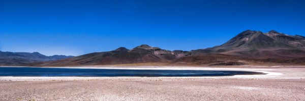 Lagon de Miscanti, désert d'Atacama, Chili