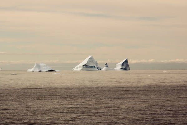 Icebergs au Groenland