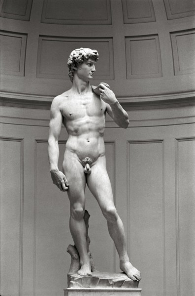 Statue of David by Michaelangelo