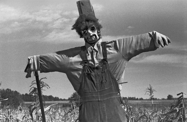 Scarecrow in Field