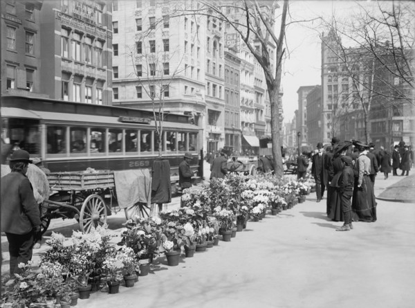 Flower Vendors, Easter Display, New York City, New York, USA, Detroit Publishing Company, 1904