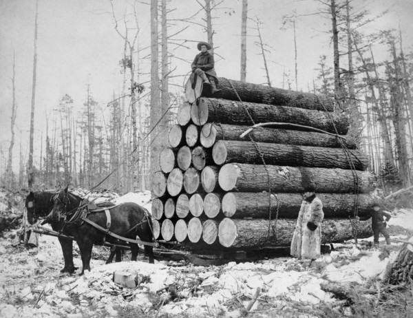 Load of Logs Being Pulled by Two Horses in Winter, USA, Detroit Publishing Company, 1908