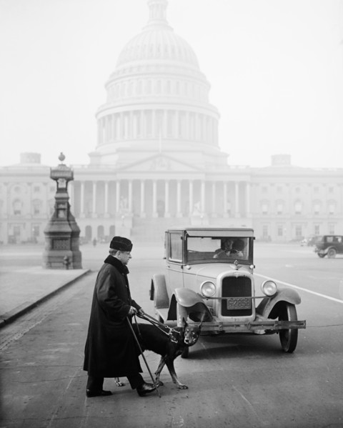 Blind Man with Guide Dog Crossing Street in Front of Automobile, U.S. Capitol Building in Background, Washington DC, USA, Harris & Ewing, 1927