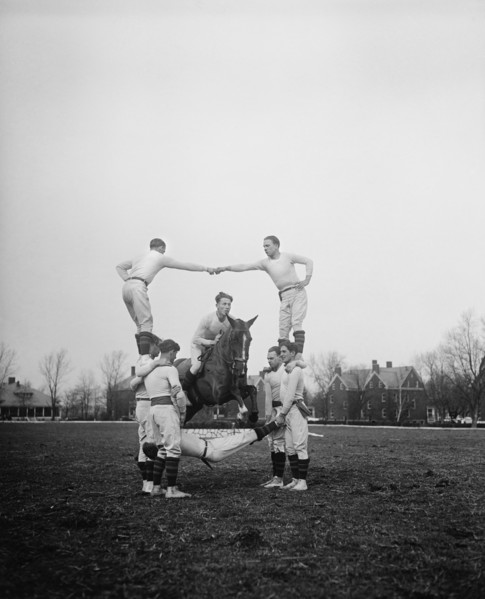 Man on Horse Jumping Through Pyramid of Acrobatic Men, Harris & Ewing, 1931