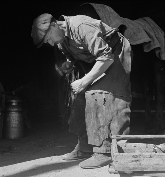 Man Shoeing a Horse, Wallingford, Connecticut, USA, Jack Delano for Farm Security Administration, 1943