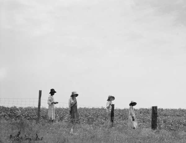 Cotton Hoers Leaving the Field for Lunch, Georgia, USA, Dorothea Lange for Farm Security Administration, July 1937