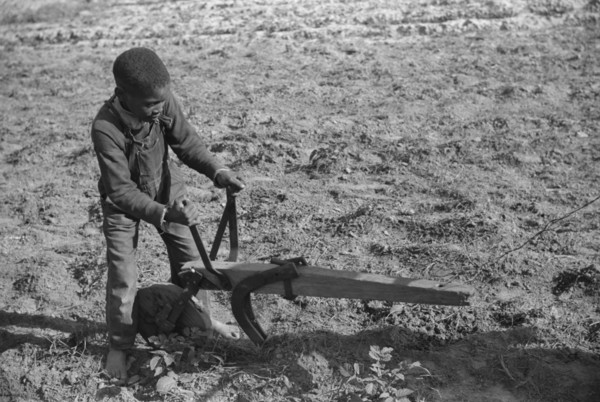 Young Boy Plowing School Garden, Gees Bend, Alabama, USA, Marion Post Wolcott for Farm Security Administration, May 1939