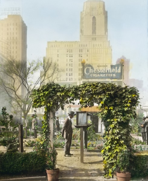 Visitors Reading Notices in Garden Sponsored by National War Garden Commission during World War I, Bryant Park, New York City, New York, USA, by Frances Benjamin Johnson, August 1918