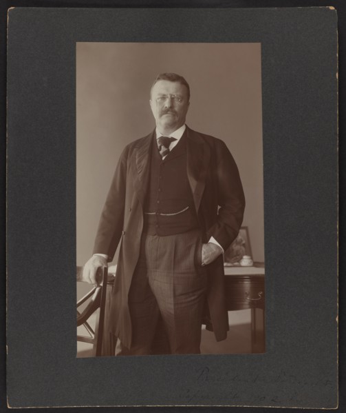 U.S. President, Theodore Roosevelt, Standing Portrait, by Frances Benjamin Johnson, December 1902