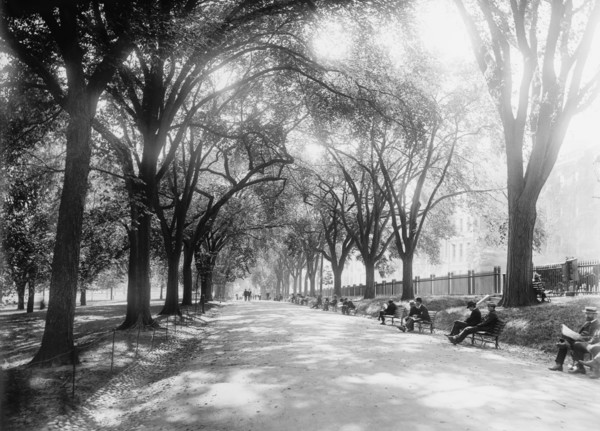 Beacon Street Mall, Boston, Massachusetts, USA, Detroit Publishing Company, 1899