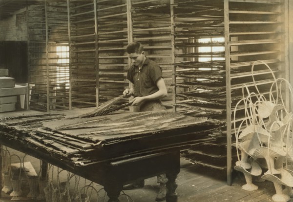 15-year-old Boy Sorting Cycas Leaves, Floral Supply Company, Boston, Massachusetts, USA, Lewis Hine for National Child Labor Committee, January 1917
