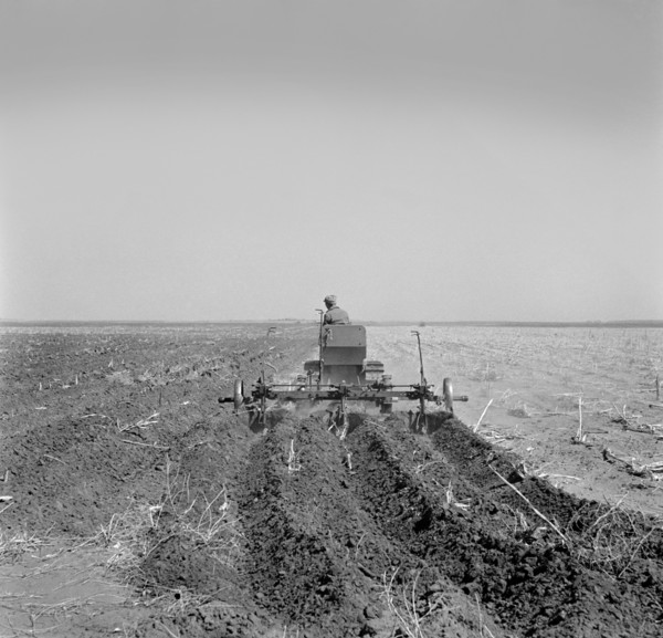 Farmer Listing his Field under Wind Erosion Control Program, Receiving 20 cents per Acre for his Work, Liberal, Kansas, USA, Arthur Rothstein, Farm Security Administration, March 1936