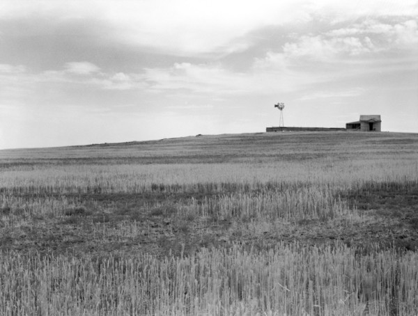 Wheat Fields, spoiled by Grasshopper Plague near Beach, North Dakota, USA, Arthur Rothstein, Farm Security Administration, July 1936