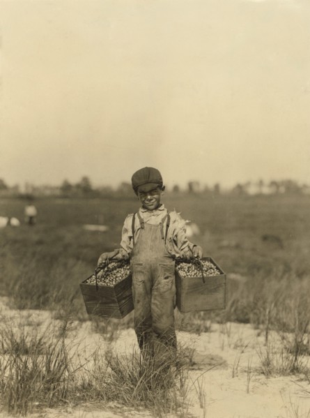 Young Boy Carrying Cranberries at Cranberry Farm, Browns Mills, New Jersey, USA, Lewis Hine, circa 1910
