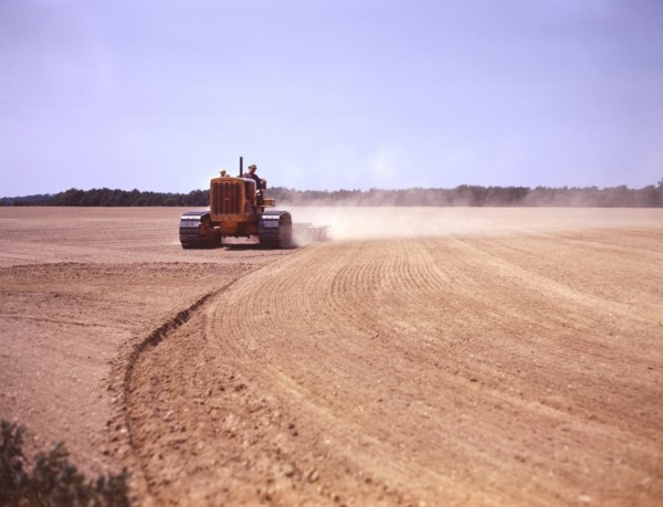 Farmer Cultivating Field, Seabrook Farm, Bridgeton, New Jersey, USA, John Collier for Farm Security Administration - Office of War Information, June 1942