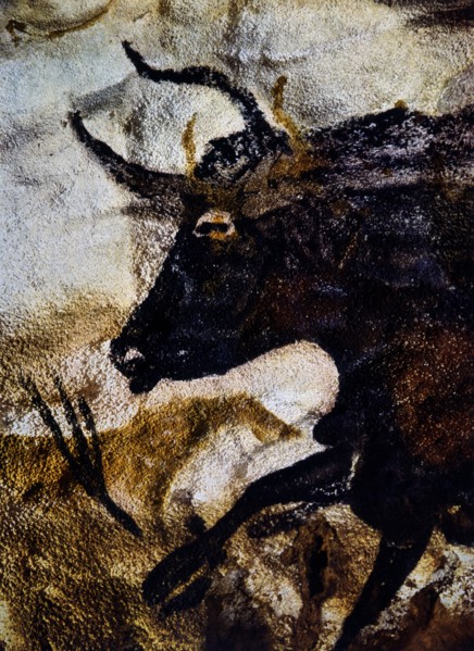 Cave Painting of Black Bull, Lascaux, France