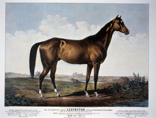 The Celebrated Horse Lexington, Currier & Ives, 1855