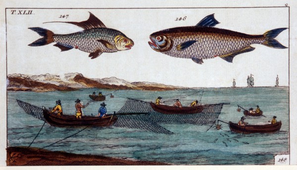 Fish and Fishermen, Hand-Colored Woodcut, circa 1800