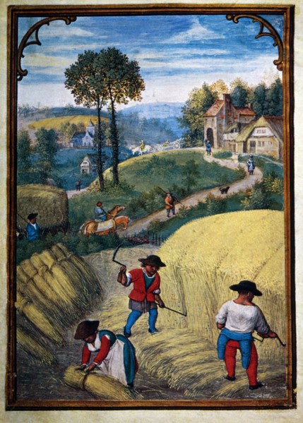 Farmers Scything Wheat Field, August, Illustration from Flemish Prayer Book, Simon Bening, 1500's