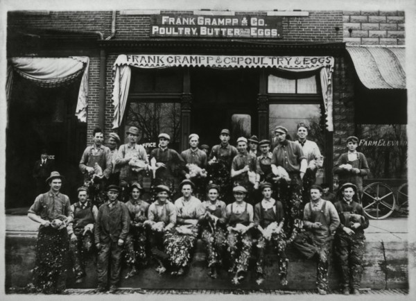 Group of Employees of a Poultry, Butter and Eggs Company, 1910
