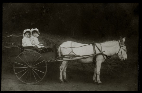 Two Young Girls in Donkey-Drawn Wagon, circa 1907