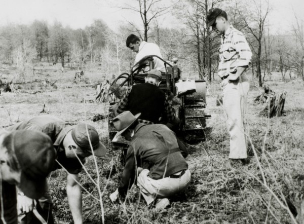 Civilian Conservation Corps Workers Reforesting Waste Land, Allegheny National Forest, Pennsylvania, USA, circa 1934