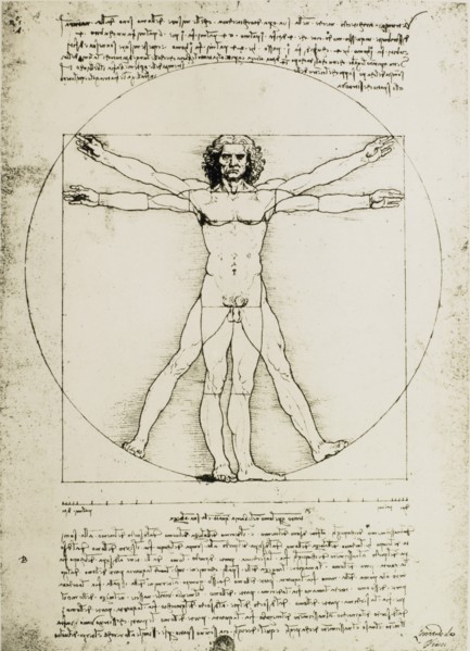 Vitruvian Man, Study of Proportions, Leonardo Da Vinci, Drawing, circa 1490