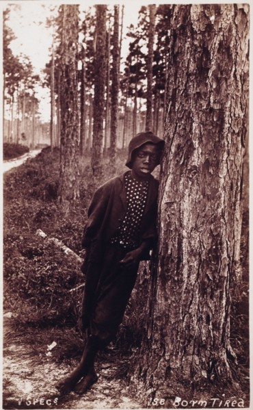 African-American Teenager Leaning Against Tree, Florida, USA, 1880