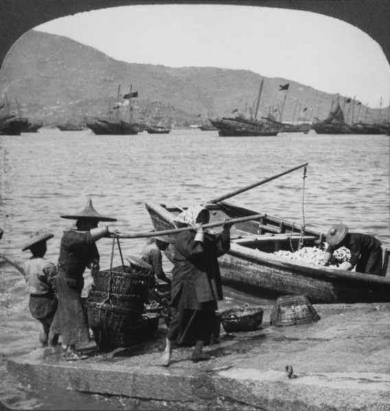 Workers Unloading Fishing Boat, Macau, China, Single Image of Stereo Card, 1910