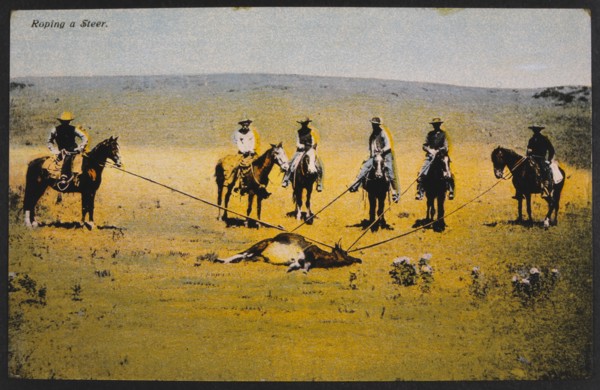 Cowboys Roping a Steer, Hand-Colored Photograph, circa 1925