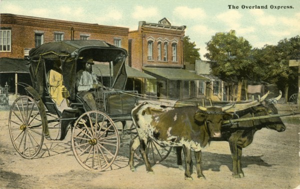 African-American Couple Sitting in Ox-Drawn Carriage, "Overland Oxpress", North Carolina, USA, Hand-Colored Postcard, circa 1910