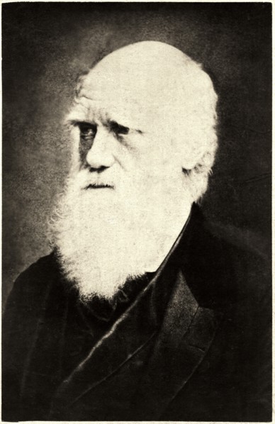 Charles Darwin (1809-1882), English Naturalist, Close-Up Portrait, circa 1870