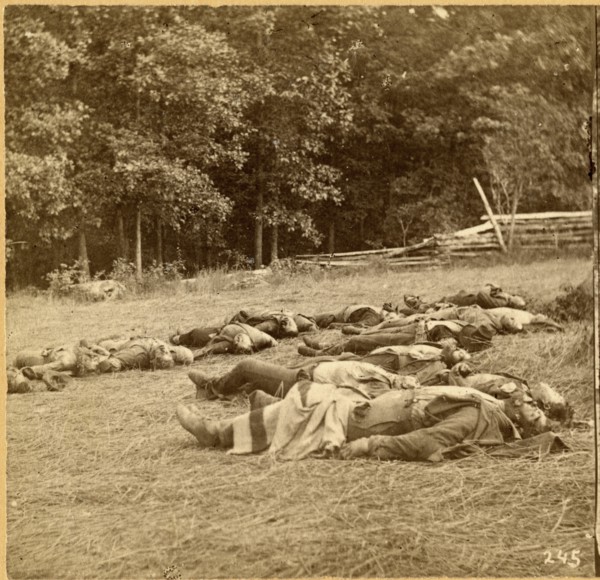 “Union Dead at Gettysburg.” #245, American Civil War, Single image of Stereo Card, circa 1863