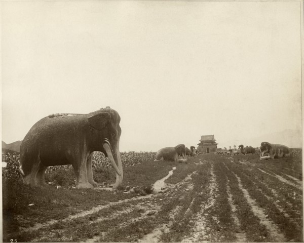 Sacred Way and Ming Tombs, Beijing, China, Albumen Print, circa 1890