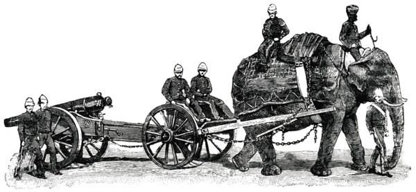 Elephant Carrying Cannon During War, Afghanistan, "Classical Portfolio of Primitive Carriers", by Marshall M. Kirman, World Railway Publ. Co., Illustration, 1895