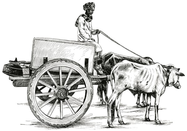 Arab Driving Ox-Cart, Oman, Arabia, "Classical Portfolio of Primitive Carriers", by Marshall M. Kirman, World Railway Publ. Co., Illustration, 1895