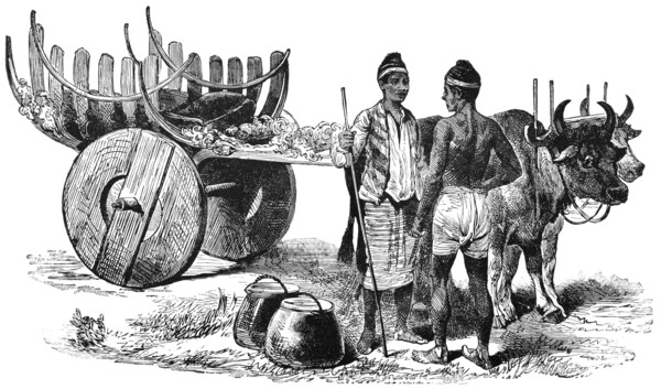 Burmese Traveling Cart in Farther India, "Classical Portfolio of Primitive Carriers", by Marshall M. Kirman, World Railway Publ. Co., Illustration, 1895