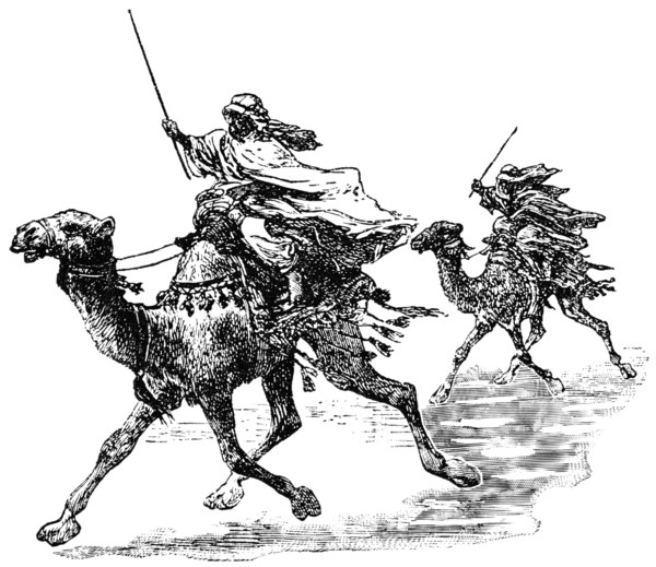 Dromedary Camel Race, Egypt,  "Classical Portfolio of Primitive Carriers", by Marshall M. Kirman, World Railway Publ. Co., Illustration, 1895