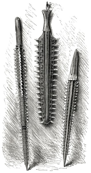 Primitive Weapons made from Shark Teeth, Gilbert Islands, Illustration, 1885