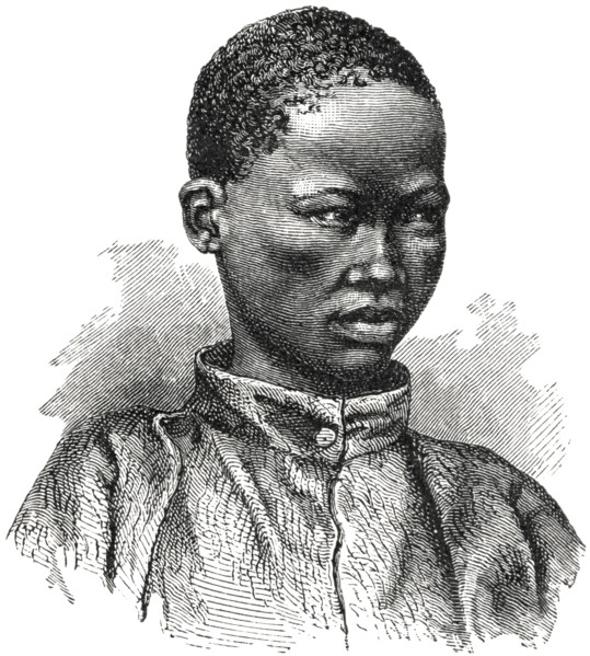 Young Bushman, Lake Ngami Region, Botswana, Africa, Illustration, 1885