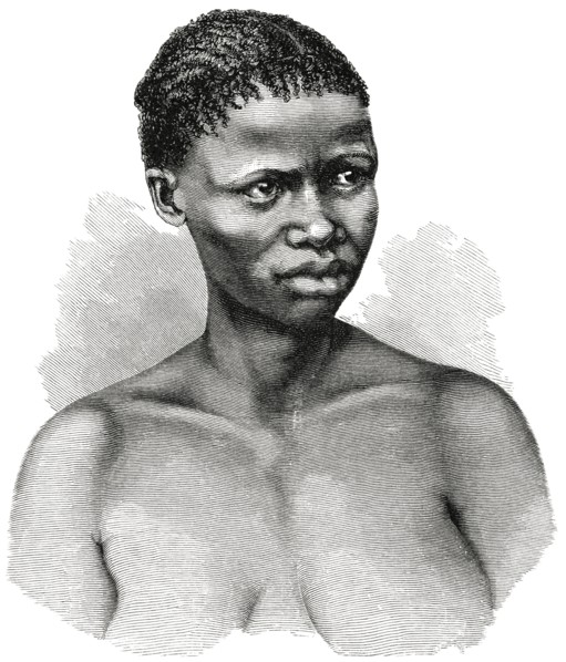 Young Bushman Woman, Lake Ngami Region, Botswana, Africa, Illustration, 1885