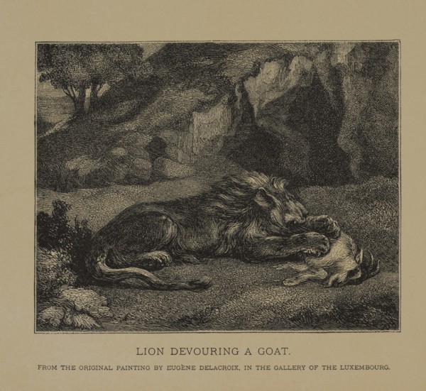 Lion Devouring a Goat, Woodcut Engraving from the Original Painting by Eugène Delacroix The Masterpieces of French Art by Louis Viardot, Published by Gravure Goupil et Cie, Paris, 1882, Gebbie & Co., ...