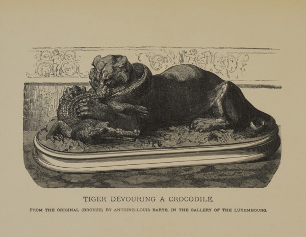 Tiger Devouring a Crocodile, Woodcut Engraving of the Original 1831 Bronze Sculpture by Antoine-Louis Barye, The Masterpieces of French Art by Louis Viardot, Published by Gravure Goupil et Cie, Paris,...