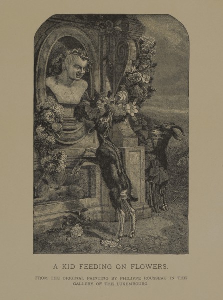 A Kid Feeding on Flowers, Woodcut Engraving from the Original 1855 Painting by Philippe Rousseau, The Masterpieces of French Art by Louis Viardot, Published by Gravure Goupil et Cie, Paris, 1882, Gebb...