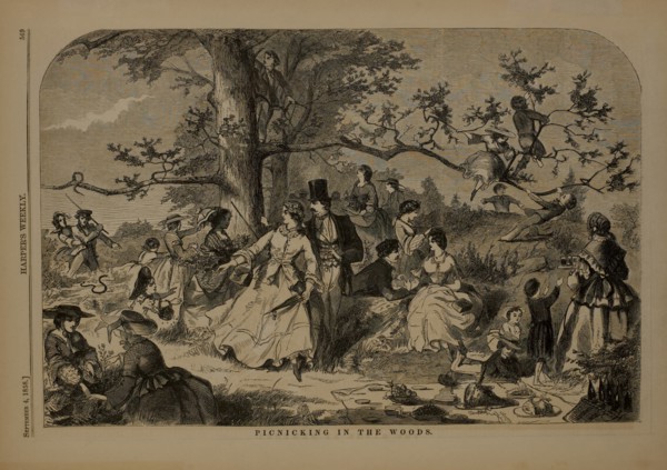 Picnicking in the Woods, Harper's Weekly, September 4, 1858